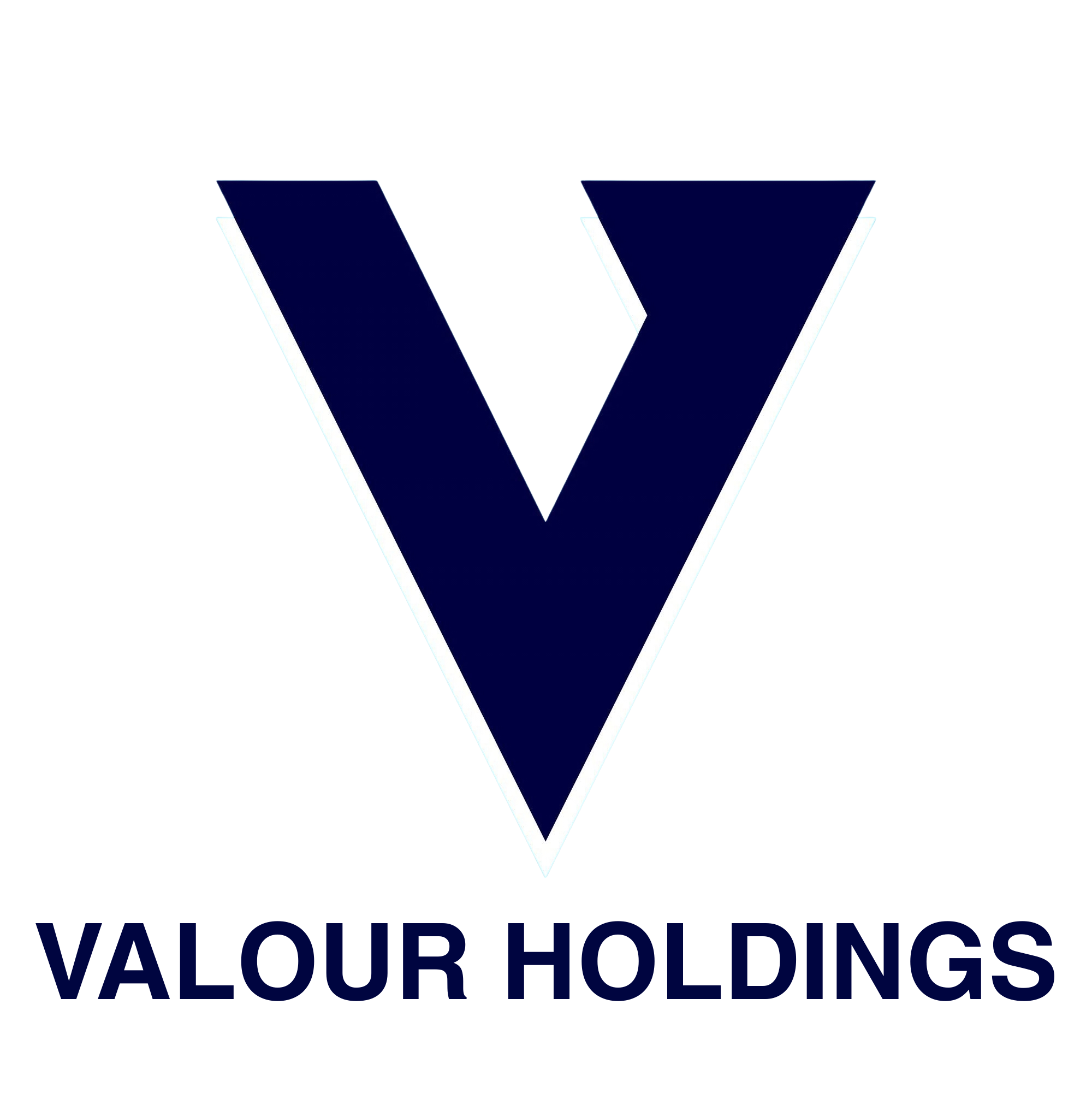 Valour Holdings